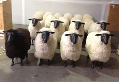 a group of sheep standing next to each other on top of a cement floor in front of a wall