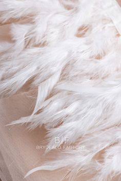 white feathers are laying on top of a piece of fabric