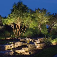 a garden with rocks and trees lit up at night