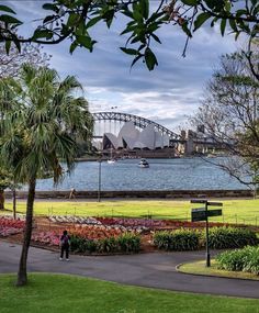 a view of the sydney opera house and harbour bridge from across the park in front of it