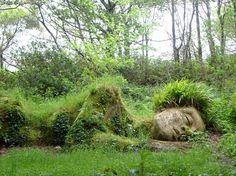 a large rock in the middle of a lush green forest