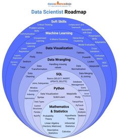 the data scientist's roadmap is shown in blue and has five sections labeled