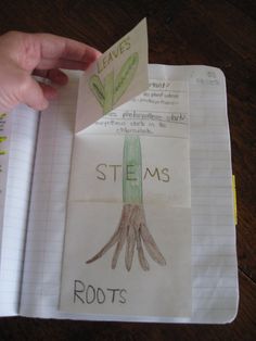 a child's hand is holding a piece of paper that has drawings on it