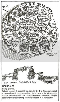 an old diagram shows the location of different plants and water sources in this area, as well as how they are used