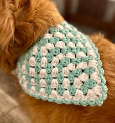 a brown dog wearing a crocheted blue and white bandana on it's head