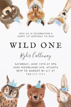 an animal themed birthday party with animals