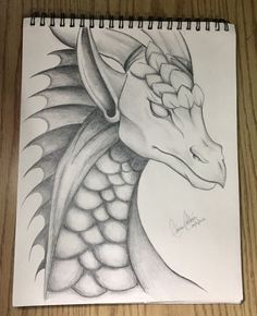 a pencil drawing of a dragon head