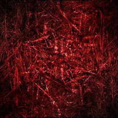 an abstract red background with lines and grass in the foreground, on top of dark ground