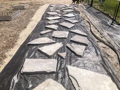 a dog standing on top of a tarp covered walkway