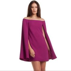 Gorgeous Raspberry Colored Evening Dress Great For Dates, Cocktail Parties, And More! Only Worn Once For A Photo Shoot. Lined Long Sleeve Cocktail Dress, Long Sleeve Lined Evening Dress, Long Sleeve Lined Mini Evening Dress, Purple A-line Cocktail Dress, Purple A-line Mini Dress For Evening, Chic Lined Purple Dress, Chic Purple Lined Dress, Purple A-line Dress For Brunch, Lined Evening Dresses For Fall