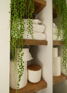 some shelves with towels and plants in them