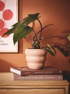 a potted plant sitting on top of two books