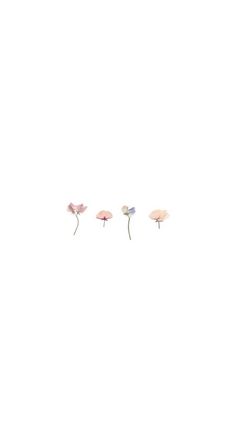 three pink flowers are in the middle of a white background with horizontal lines above them