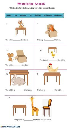 an animal worksheet with pictures and words