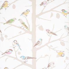 birds are sitting on the branches of a tree in front of a white wallpaper