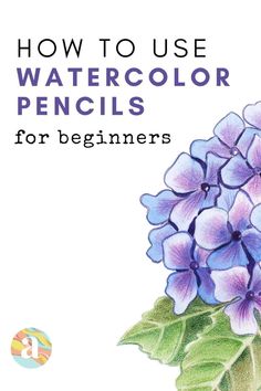 how to use watercolor pencils for beginner's book cover with blue flowers and green leaves