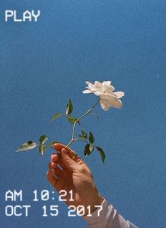 a person holding a flower in front of a blue sky with the words play on it