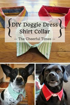 three different pictures of dogs wearing collars and bow ties with text overlay that says diy doggie dress shirt collar the cheerful times