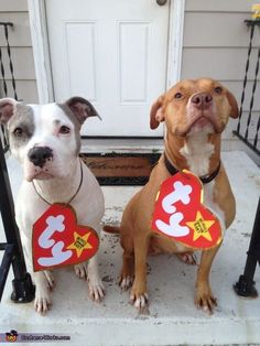 two dogs sitting next to each other holding heart shaped signs in front of a door