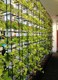 an office building with plants growing on the wall and in the middle of the room