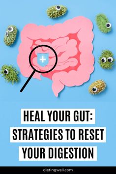 Unlock the secrets to a healthier gut with our comprehensive guide to gut healing strategies. From probiotics to gut-friendly foods, discover effective ways to reset your digestion and restore balance to your gut microbiome for improved overall health. Ibs Diet Plan, Reset Your Gut, Low Fodmap Diet Plan, Fodmap Diet Plan, Vitamin Rich Foods, Fodmap Meal Plan, Scd Diet, Heal Your Gut, Acid Reflux Diet