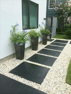 some plants are in black pots on the side of a house