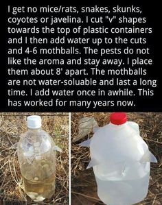 two bottles with water in them sitting on the ground