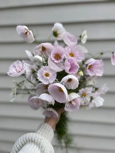 a person holding a bouquet of pink flowers in their hand with white and yellow petals