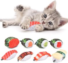 Catnip Toys, 8 Pack Fluffy Cat Teething Chew Toy, Bite Resistant Cat Chew Toy, Catnip Filled Sushi Roll, Replacements For Cat Wand Toy, Cat Lovers Interactive Plush Gift for Indoor Cats Kitten Kitty Fluffy Kitty, Catnip Mouse, Sushi Cat, Sushi Roll, Kitten Toys, Indoor Cats, Catnip Toys, Fluffy Cat, Indoor Cat