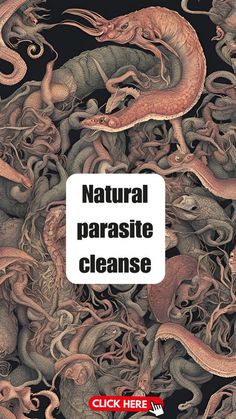 Natural Parasite Cleanse for Humans."Discover the power of a natural parasite cleanse for humans to detoxify and revitalize your body. Learn how to effectively eliminate harmful parasites with safe and effective natural remedies. Say goodbye to unwanted guests and hello to a healthier you!" Intestinal Parasite Cleanse, Best Parasite Cleanse, Parasites Cleanse, Natural Parasite Cleanse, Parasites In Humans, Parasite Cleanse Diet, Healthy Bowel Movement, Improve Kidney Function, Intestinal Parasites