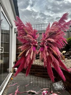 two pink feathers on top of each other in front of a building with an open window