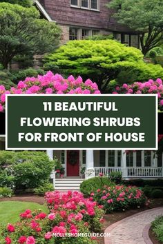 flowers and shrubs in front of a house with the words 11 beautiful flowering shrubs for front of