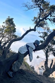 a person standing on top of a tree branch