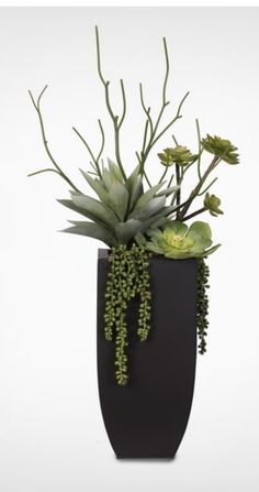 a black vase with green plants in it