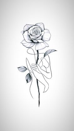 a black and white drawing of a rose