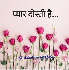 there are many pink roses in front of the words on the wall and behind them is a row of white flowers