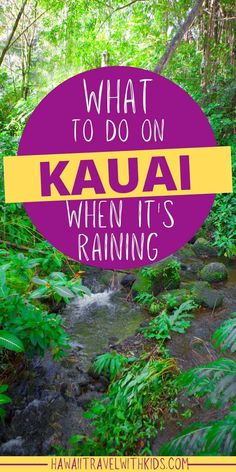 the words what to do on kaua when it's raining in purple and yellow