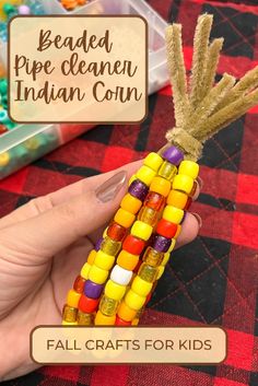 If you’re looking for a cute Fall craft that will make the perfect decor or centerpiece for your Thanksgiving table, you and your kids will love making these Beaded Pipe Cleaner Indian Corn crafts. Indian corn is a staple Harvest party or Thanksgiving symbol. This craft is not only fun for your kids but will keep them busy for a while and only requires 2 supplies to make it. Indian Corn Craft, Corn Crafts, Corn Craft, Corn Bead, Harvest Crafts, Cute Craft, Kids Thanksgiving, Indian Corn, Harvest Party