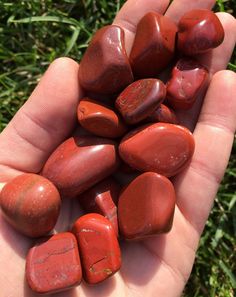 a person is holding some red rocks in their hand and grass behind them on the ground