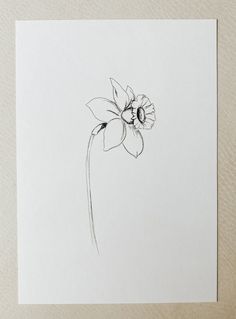 a black and white drawing of a flower on a piece of paper with a pen