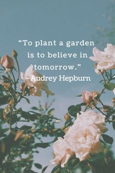 some white flowers and a blue sky with the quote to plant a garden is to believe in tomorrow