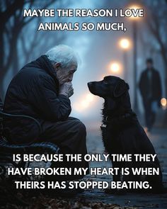 Dog Heaven Quotes, Inspirational Animal Quotes, Dog Quotes Love, Dog Heaven, Unknown Facts, Dog Training Techniques, Love Animals, Dog Parents, Spiritual Path