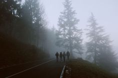 three people walking down a road in the fog with trees on both sides of them