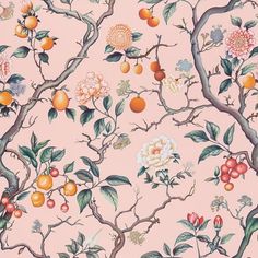 an orange tree with flowers and fruit on it's branches, against a pink background