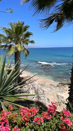 the beach is surrounded by palm trees and pink flowers in front of the blue water