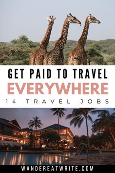 Text: Get paid to travel everywhere: 14 travel jobs; top photo: three giraffes in africa; bottom photo: night view of luxury resort with pool and palm trees Jobs To Do While Traveling, Working While Traveling, Work While Traveling, How To Be A Travel Blogger, How To Become A Travel Influencer, Travel Jobs Career Ideas, How To Get Paid To Travel, How To Be A Travel Agent