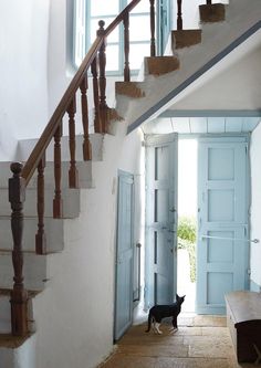 a cat is walking down the stairs in front of a blue door and wooden bench