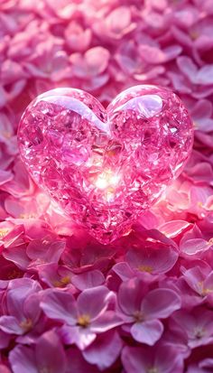 two heart shaped pink crystals sitting on top of purple flowers with light shining through them