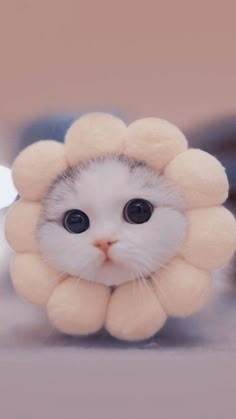 a small white kitten with a fake flower on its head is looking at the camera