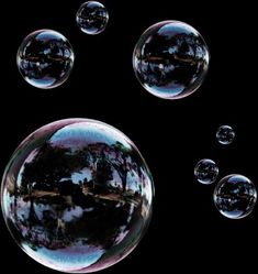 soap bubbles floating in the air with trees and sky reflected in them on a black background